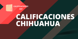 Calificaciones SEP Chihuahua