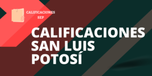 Calificaciones SEP San Luís Potosí