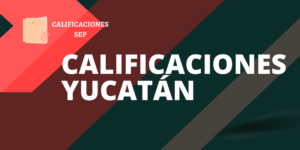 Calificaciones SEP Yucatán